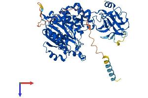 GALNT10 Protein (AA 1-603) (His tag)