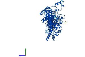 Protein Structure (PS) image for 2-Hydroxyacyl-CoA Lyase 1 (HACL1) (AA 1-581) protein (His tag) (ABIN7561745)