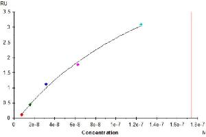 Surface Plasmon Resonance (SPR) image for Poliovirus Receptor-Related 1 (Herpesvirus Entry Mediator C) (PVRL1) (AA 31-334) protein (His-Avi Tag) (ABIN7275307)
