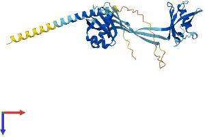NMI Protein (AA 1-314) (His tag)