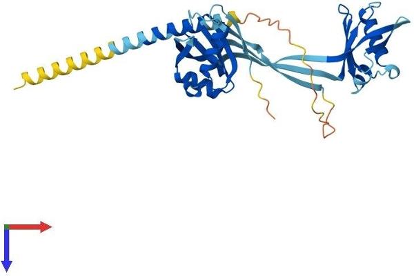 NMI Protein (AA 1-314) (His tag)