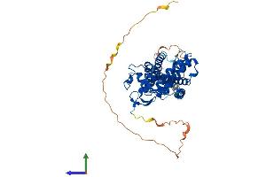 Protein Structure (PS) image for Nuclear Receptor Subfamily 1, Group H, Member 2 (NR1H2) (AA 1-460) protein (His tag) (ABIN7549818)