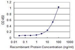 Detection limit for recombinant GST tagged ABCG1 is 1 ng/ml as a capture antibody. (ABCG1 Antikörper  (AA 21-130))