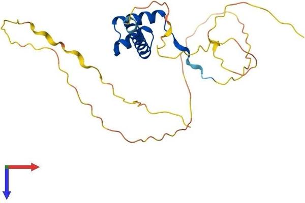 DLX4 Protein (AA 1-240) (His tag)