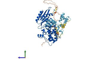 AlphaFold protein structure predicition of Mouse Recombinant Prkaa1 Protein, UniprotID Q5EG47