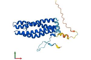 AlphaFold protein structure predicition of Mouse Recombinant Scamp4 Protein, UniprotID Q9JKV5 (SCAMP4 Protein (AA 1-230) (His tag))