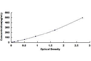 Vimentin (VIM) ELISA Kit