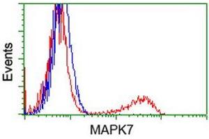 HEK293T cells transfected with either RC203506 overexpress plasmid (Red) or empty vector control plasmid (Blue) were immunostained by anti-MAPK7 antibody (ABIN2454064), and then analyzed by flow cytometry. (MAPK7 Antikörper)
