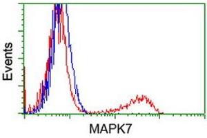HEK293T cells transfected with either RC203506 overexpress plasmid (Red) or empty vector control plasmid (Blue) were immunostained by anti-MAPK7 antibody (ABIN2454064), and then analyzed by flow cytometry.