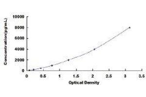 Trefoil Factor 2 (TFF2) ELISA Kit