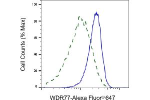 Validation of WDR77 knockdown using flow cytometry. (WDR77 Antikörper)