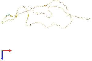 SRSF12 Protein (AA 1-266) (His tag)