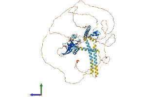 AlphaFold protein structure predicition of Human Recombinant FOXP4 Protein, UniprotID Q8IVH2 (FOXP4 Protein (AA 1-680) (His tag))
