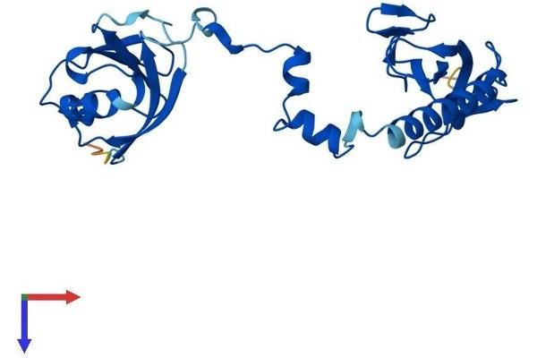 TBCB Protein (AA 1-244) (His tag)