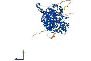 Protein Structure (PS) image for Dihydropyrimidinase-Like 2 (DPYSL2) (AA 1-572) protein (His tag) (ABIN7562166)