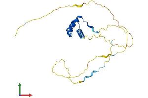 Protein Structure (PS) image for PROP Paired-Like Homeobox 1 (PROP1) (AA 1-223) protein (His tag) (ABIN7556810)