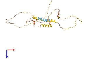 MDFI Protein (AA 1-246) (His tag)