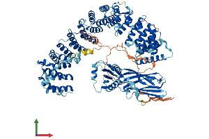 Protein Structure (PS) image for Adaptor-Related Protein Complex 2, alpha 1 Subunit (AP2A1) (AA 1-977) protein (His tag) (ABIN7562913)