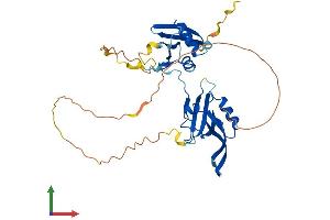 Protein Structure (PS) image for Par-6 Partitioning Defective 6 Homolog alpha (PARD6A) (AA 1-346) protein (His tag) (ABIN7550444)
