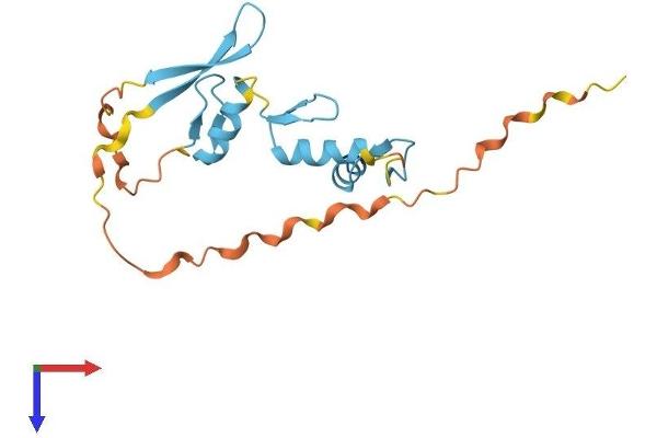 ZNF580 Protein (AA 1-172) (His tag)