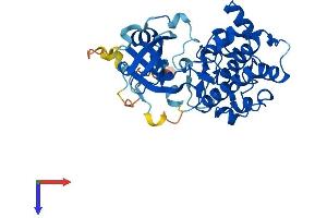 SGK2 Protein (AA 1-367) (His tag)
