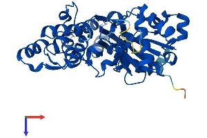 Actin, gamma 1 Protein (ACTG1) (AA 1-375) (His tag)