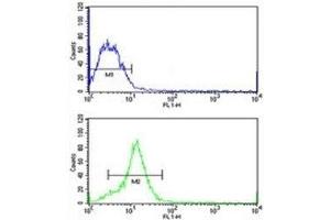 HMGA1 antibody flow cytometric analysis of MCF-7 cells (green) compared to a negative control (blue). (HMGA1 Antikörper  (AA 64-93))