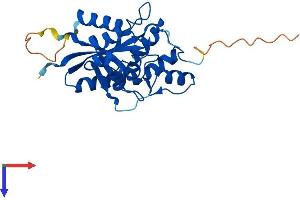 NMNAT3 Protein (AA 1-252) (His tag)