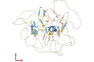 AlphaFold protein structure predicition of Human Recombinant CRAMP1 Protein, UniprotID Q96RY5 (CRAMP1 (AA 1-1269) protein (His tag))
