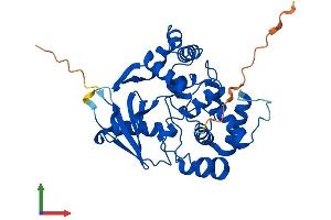Protein Structure (PS) image for 8-Oxoguanine DNA Glycosylase (OGG1) (AA 1-345) protein (His tag) (ABIN7562200)