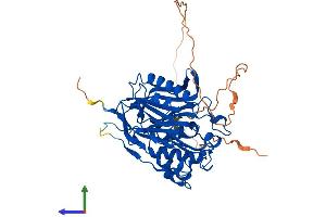Protein Structure (PS) image for CCR4 Carbon Catabolite Repression 4-Like (CCRN4L) (AA 1-431) protein (His tag) (ABIN7554791)