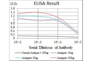 ELISA image for anti-Hexosaminidase A (HEXA) antibody (ABIN1846273)