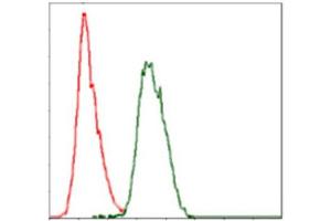 Flow Cytometry (FACS) image for anti-Coactosin-Like Protein antibody (ABIN1846261) (COTL1 Antikörper)