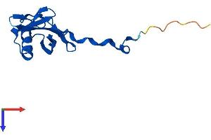 TCEB2 Protein (AA 1-118) (His tag)