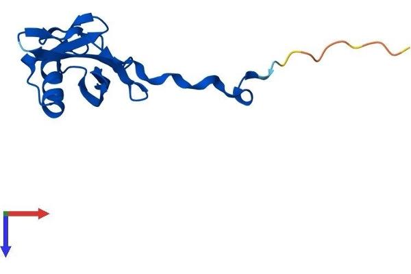 TCEB2 Protein (AA 1-118) (His tag)