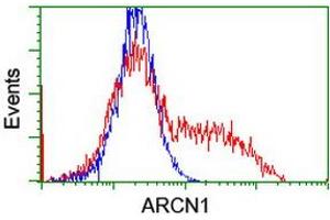 Flow Cytometry (FACS) image for anti-Archain 1 (ARCN1) antibody (ABIN1497572) (ARCN1 Antikörper)