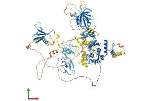 Protein Structure (PS) image for Protein Kinase D1 (PRKD1) (AA 1-912) protein (His tag) (ABIN7554376)