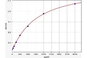 ADAM Metallopeptidase Domain 17 (ADAM17) ELISA Kit