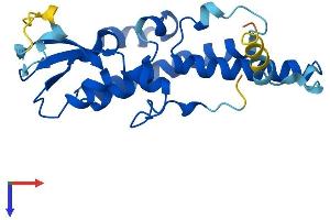 GINS3 Protein (AA 1-216) (His tag)