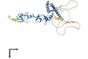 LMX1A Protein (AA 1-382) (His tag)