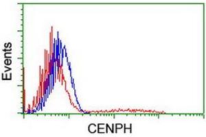 HEK293T cells transfected with either RC204531 overexpress plasmid (Red) or empty vector control plasmid (Blue) were immunostained by anti-CENPH antibody (ABIN2455251), and then analyzed by flow cytometry. (CENPH Antikörper)