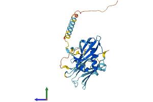 Protein Structure (PS) image for PIH1 Domain Containing 1 (PIH1D1) (AA 1-290) protein (His tag) (ABIN7550714)