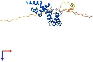 RGS20 Protein (AA 1-239) (His tag)