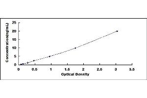 Typical standard curve (SYNE1 ELISA Kit)