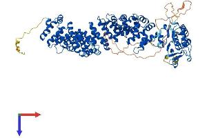 ARMC3 Protein (AA 1-872) (His tag)