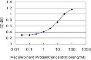 Detection limit for recombinant GST tagged FOXO3A is approximately 0. (FOXO3 Antikörper  (AA 361-460))