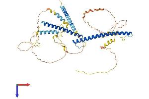 TFEB Protein (AA 1-476) (His tag)
