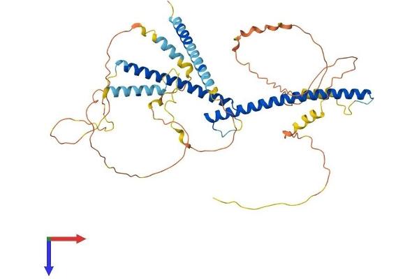 TFEB Protein (AA 1-476) (His tag)