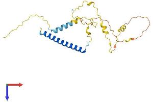 MBD3L2 Protein (AA 1-208) (His tag)
