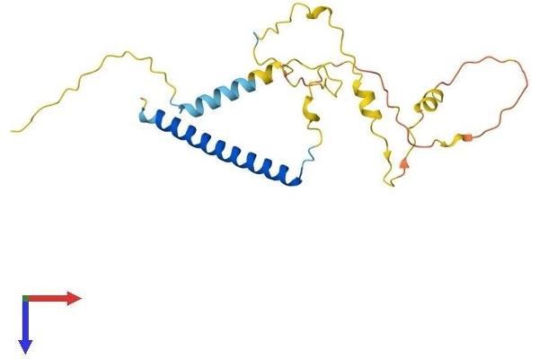 MBD3L2 Protein (AA 1-208) (His tag)